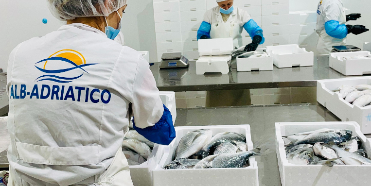 Galleria SMART ADRIA, si è conclusa con successo la study visit in Albania - Diapositiva 9 di 14