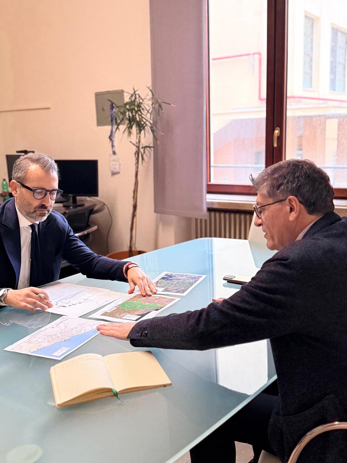 Galleria Xylella in agro di Bitonto, assessore Paolicelli: “Caso isolato, manteniamo alta l’attenzione